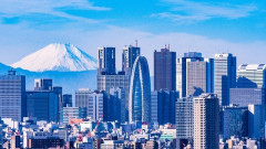 【悲報】日本の人口、5年で約◯◯◯万人も減少してしまう　もう終わりだ猫の国