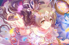 【ウマ娘】サポカのフラワーガールダイヤちゃん外堀埋められてない？