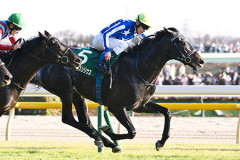 【競馬予想】[5]第93回東京優駿(日本ダービー)(GⅠ) /2026