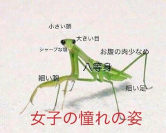 水原希子が吐露「2回も3回も4回も『顔が小さい』って言われ続けると…」“外見を褒める”日本人への違和感［5/29]