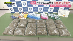 【画像】大麻31kg運んでたババア逮捕