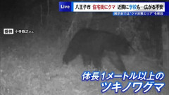 東京・八王子で住宅街近くにクマ出没　市長「人間側の警戒レベルは上げる環境に変わった」