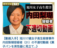 【画像あり】犯罪者の女＝ほぼ全員が不細工