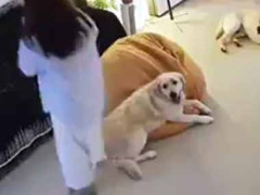 これってうちだけ？…