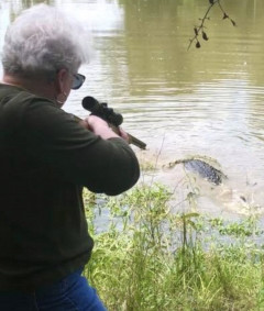 【画像】愛馬をワニに喰われたテキサスのババア(73)、武装して報復に出るｗｗｗｗｗｗ