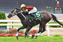【競馬予想】第9回葵ステークス(GⅢ) /2026