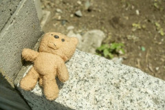 【朗報】東京で生のクマさんを見れるのが普通になりそう