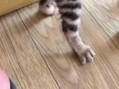 お腹が減ったママが盗み食いをしていた。今のうちだ！ → 子供はこうします…