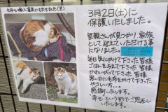 【悲報】「ここへ子猫を捨てた人へ」