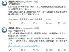 【悲報】飼い犬と一緒に山菜採りに行ったおばちゃん、犬も戻らず行方不明に