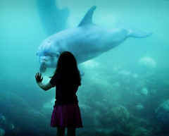 女の子を水族館デートに誘いたいんだが話題を水族館に誘導する方法を教えて下さい