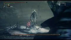 『Bloodborne』でDLCラスボスで11年間救援マルチを続けた人が「引退する」と表明←その理由が、少し寂しい・・・