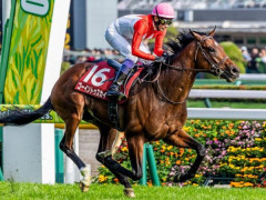 【日本ダービー】 ゴーイントゥスカイ5番人気くらいかと思ってたわ