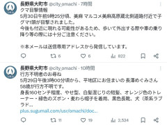 飼い犬と一緒に山菜採りに行ったおばちゃん、犬も戻らず行方不明に…
