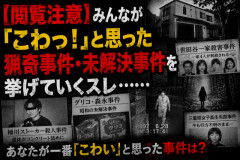 【閲覧注意】みんなが「こわっ！」と思った猟奇事件・未解決事件を挙げていくスレ……