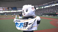 埼玉西武ライオンズ(1位)  31勝20敗2分 勝率.608