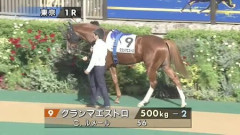 【3歳未勝利】グランマエストロまた負ける