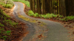 2026 WRC 第7戦 日本 結果