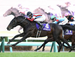 【超速報】ワイ、ダービーでロブチェンの単勝500万買った