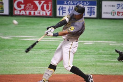 佐藤輝明にドジャースは「間違いなく入札する」　地元メディアが提言…フィットする球団事情