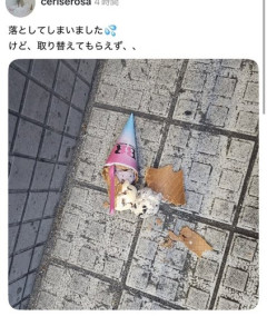 【悲報】サーティワンさん、アイスを落としてしまった女の子に塩対応する企業だった・・・・・・・・・