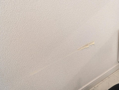 【画像あり】これって「退去費用」払わなきゃダメ？