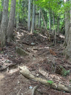 【緊急】登山初心者なんやけど、なんか上級者コース来てしまったんやけど、引き返したほうがええか？