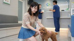 【結果】医者「イッヌの手術費用、50万円です」ワイ「そんなぁ」→