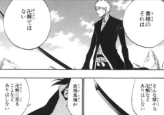 【BLEACH】そうなの！？