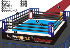 【爆笑】プロレスに関係ないのにプロレス技に聞こえる言葉