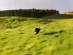 彼女をバイクに乗せて草原の丘にやってきた。行っけぇえぇぇえええ～っ！ → この走りっぷりです…