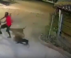 【動画】野犬の群れに襲われた男性、とんでもない方法で制圧ｗｗｗ