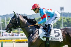 【朗報】ヒカキン、日本ダービーで1028万勝ちwwwwwwwwwwwwwwwwwwwwwwwwwwwwwwww