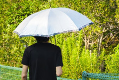 日傘探してるんだけどなかなか決まらない
