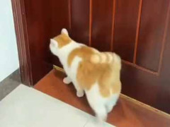 ちょっとぽっちゃりな彼女が帰ってきた。ここ開けて～！ → いつも器用にこうします…