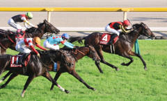 【悲報】川田将雅さん、目黒記念3着後に勝ち馬の斤量見直しを要請してしまうｗｗｗｗｗｗｗｗｗｗ