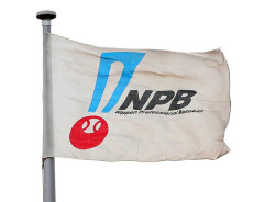 【ＮＰＢ】２軍戦の育成出場枠が最大「７」に拡大　２日から今季限りの運用を開始　メリットは出場機会増と負担軽減