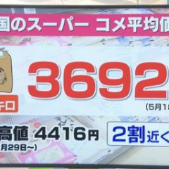 【悲報】コメ価格の暴落、ガチで止まらない