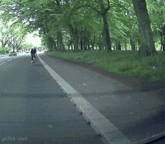 オランダ国籍女性の自転車が、フランス国籍の夫のサイクルトレーラーに追突し死亡   京都  [6/1]