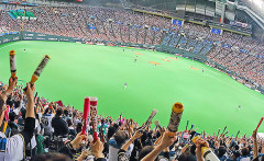 プロ野球ファンって贔屓球団を頑なに変えないけど何でなんですか？