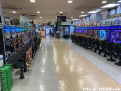 今年だけ異常に負けてるんだが…おかしくないか？