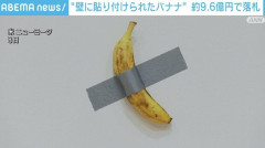 【悲報】壁にテープで貼り付けられたバナナ、盗まれる… 美術館は被害届を提出