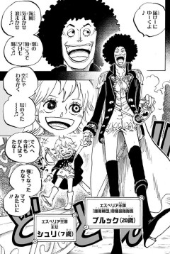 【悲報】ワンピースさん、またまた回想の中で回想をやらかしてしまう…