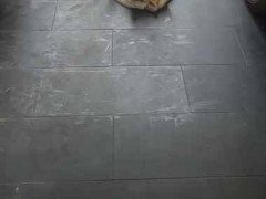 【なんだこれ？】 うちの犬が暑すぎて溶けてしまったんだが…