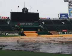 甲子園、ほぼ降雨中止