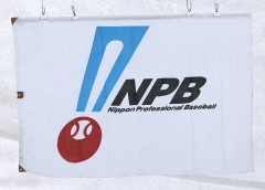 【悲報】プロ野球FAの人的補償、ガチで撤廃へｗｗｗｗｗｗｗｗｗｗ