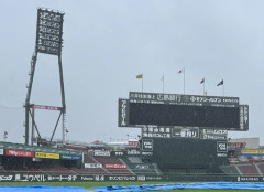 広島－日本ハムも雨天中止　台風６号接近に伴う悪天候　阪神－西武に続いて２試合目の中止発表