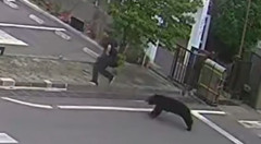クマ🐻、ついに人間の職場にやってきて従業員を襲う・・・福島（動画あり）