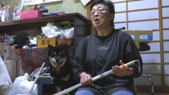 【岩手・釜石市】「わぁー!なめんなよーっ!」　80歳女性が”大声”で撃退　愛犬を追いかけ侵入してきたクマが驚いて逃げる