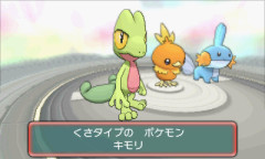 【悲報】ポケモンのキモリ、めちゃくちゃ人気が無かったｗｗｗｗｗｗｗｗｗｗｗｗｗ